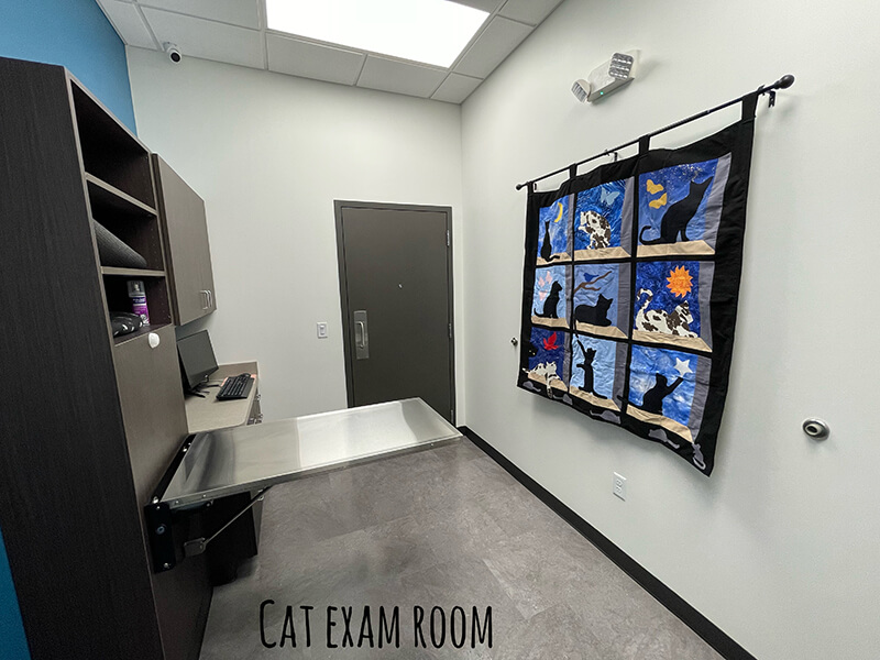 Cat Exam Room