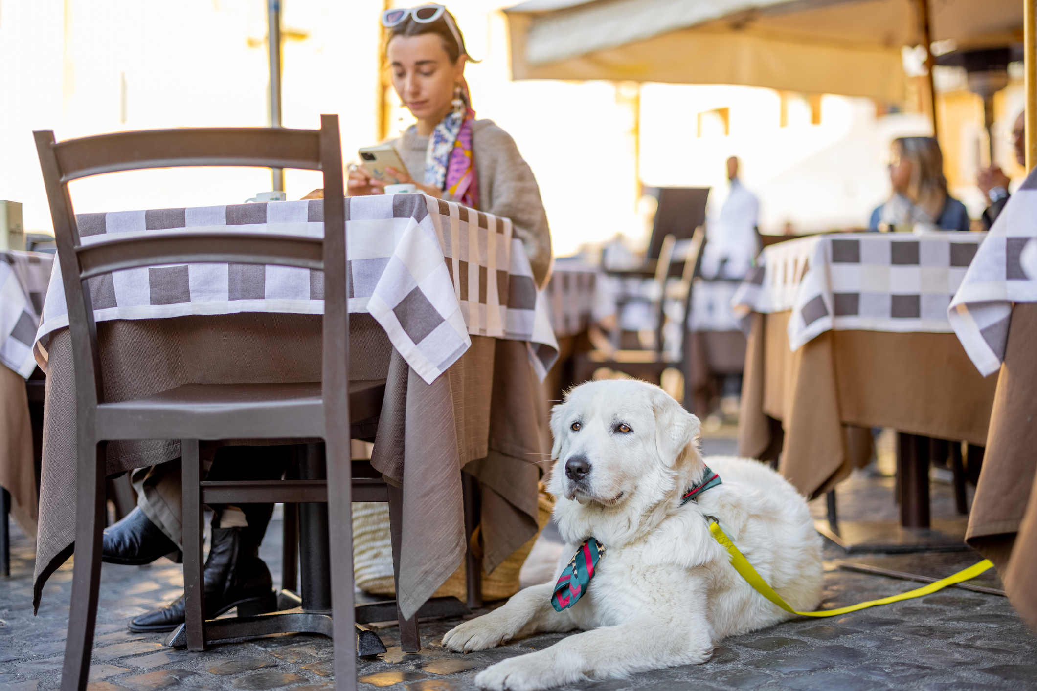 five-pet-friendly-restaurants