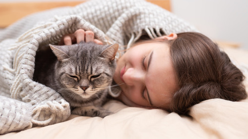 teenage-girl-and-cat-lay-under-blanket-together