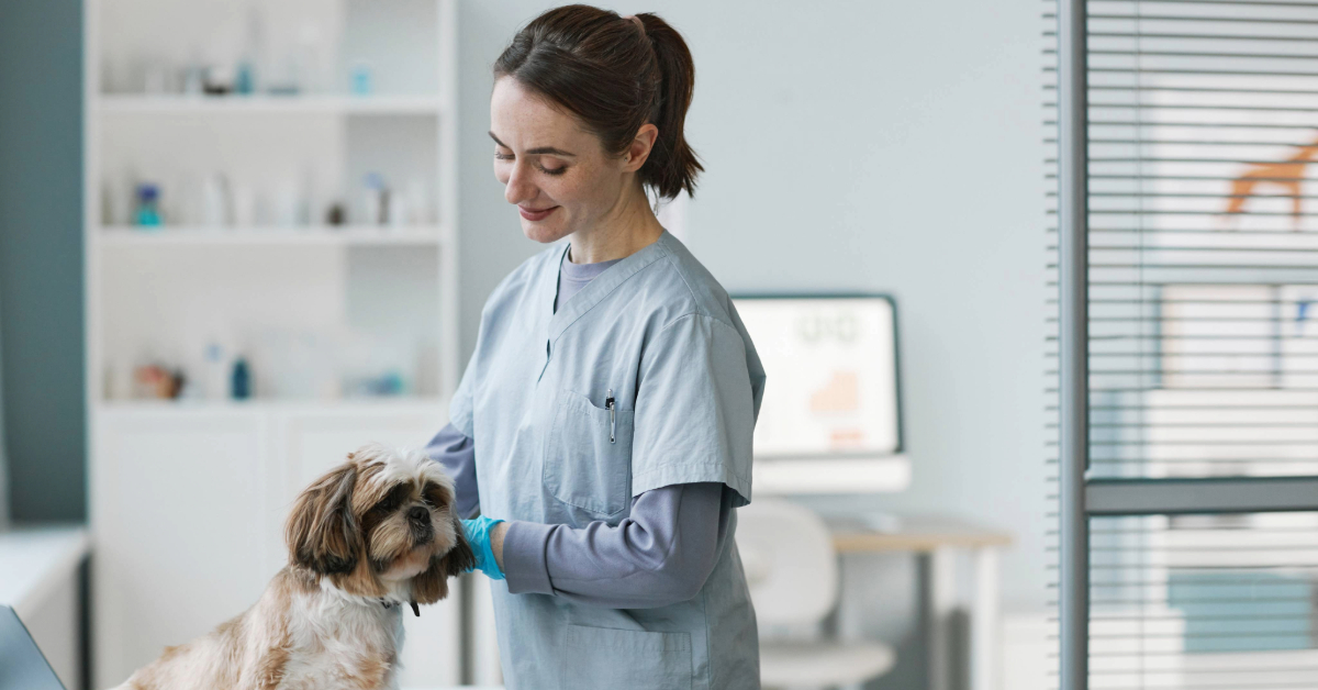 female vet examining dog at clinic