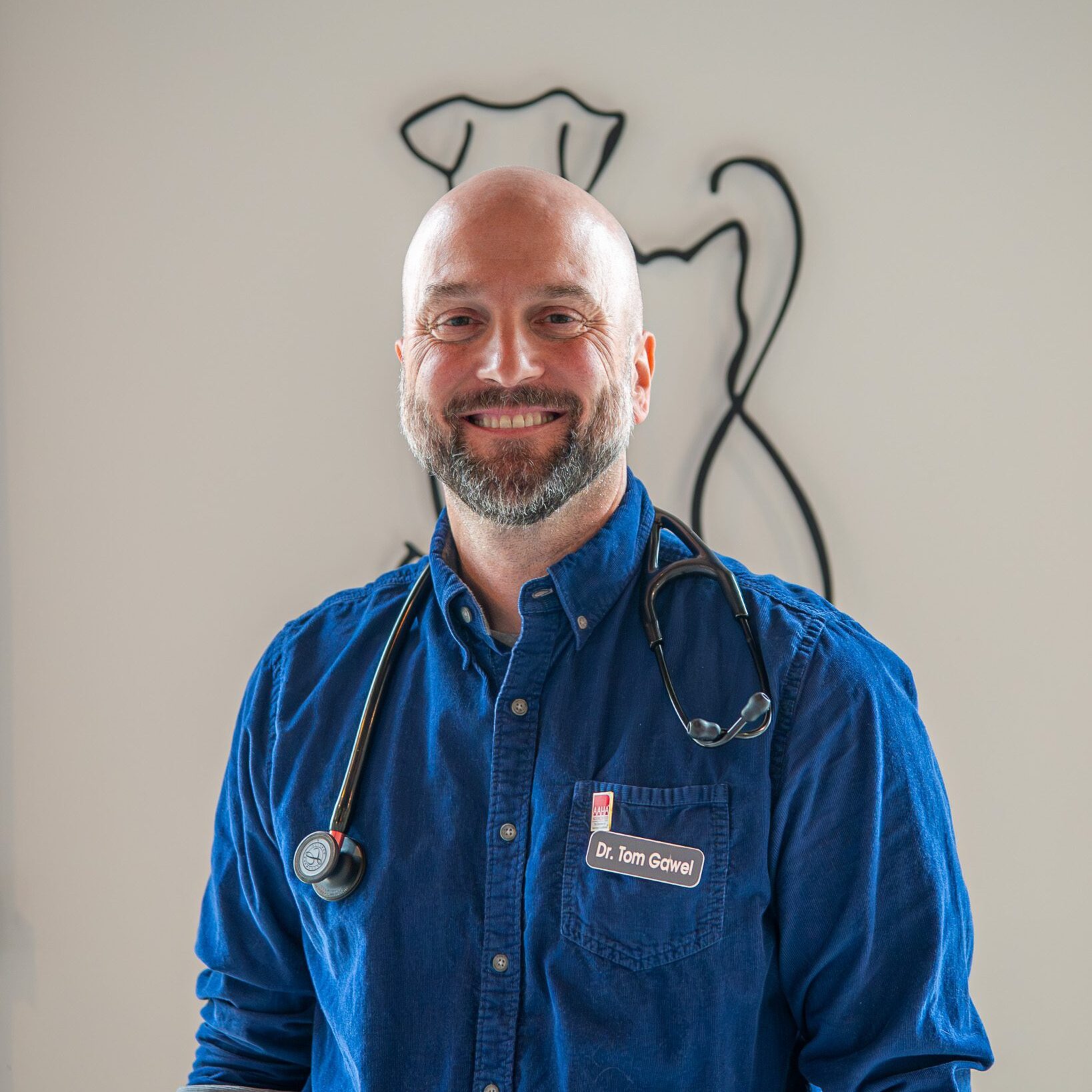 Dr. Gawel