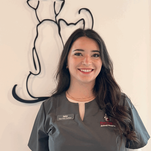 Ilsa, Partners Animal Hospital Noda