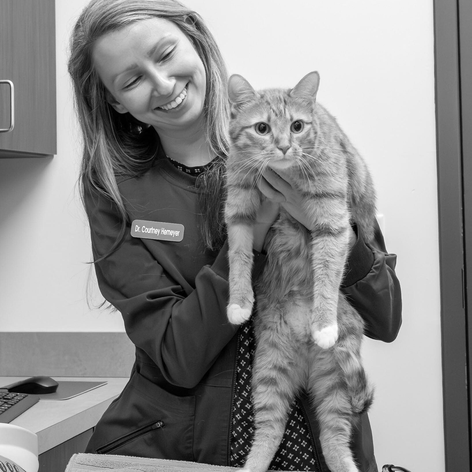 Vet Holding Cat